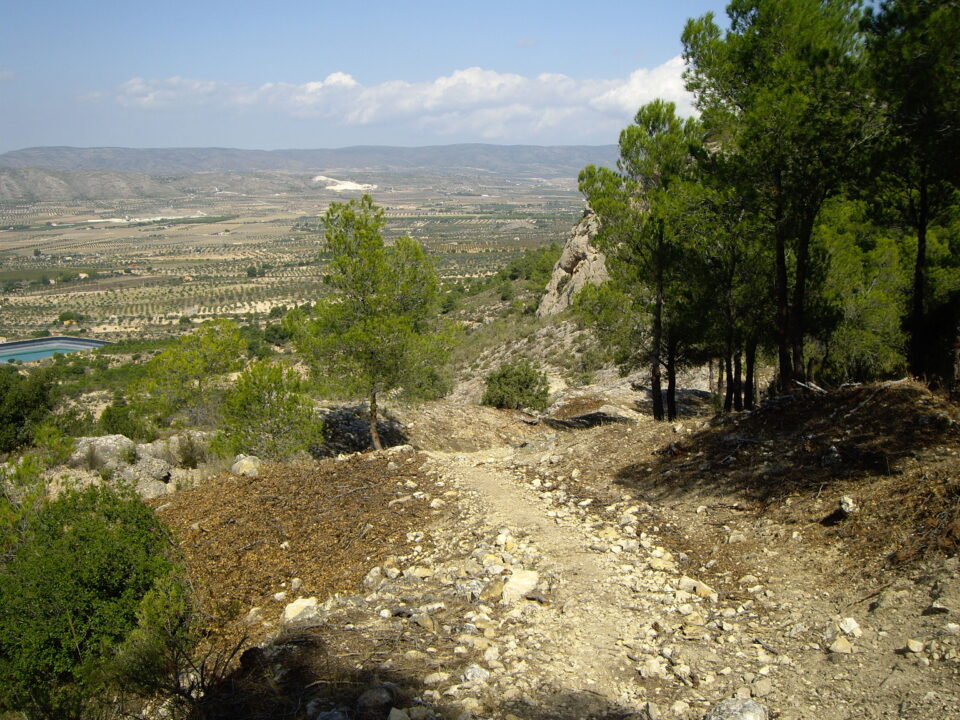 El grupo Verde presenta una moción sobre el estado de Peña Rubia