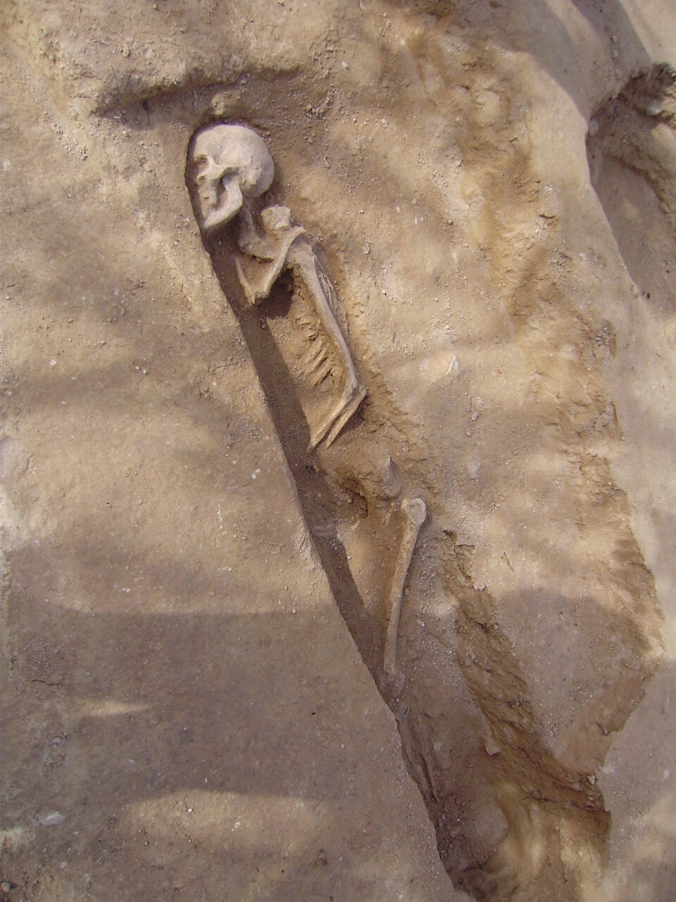 Hallada en Ibi una necrópolis islámica del siglo XII