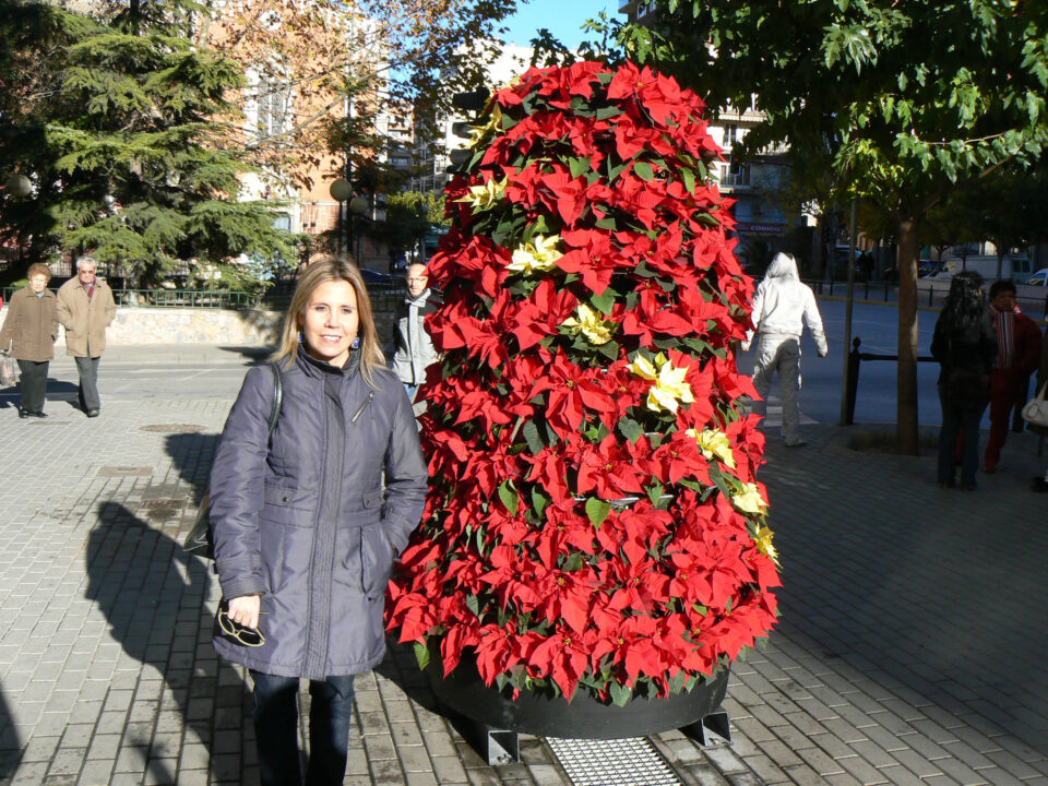 Dos nuevas jardineras decoran la Avda. Constitución