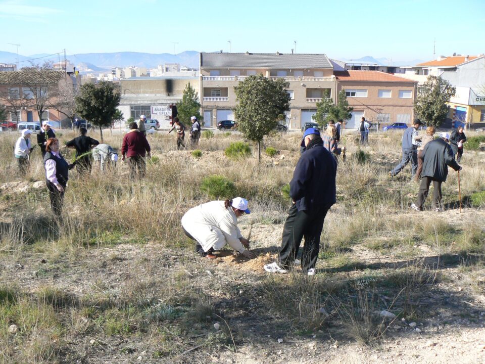 Miembros del Geriátrico la Morenica plantan 200 árboles en la ciudad de Villena