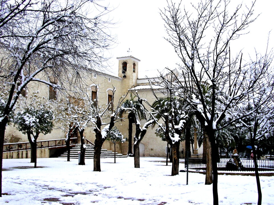COMUNICADO DE LA ASOCIACIÓN DE NUESTRA SEÑORA MARIA DE LAS VIRTUDES