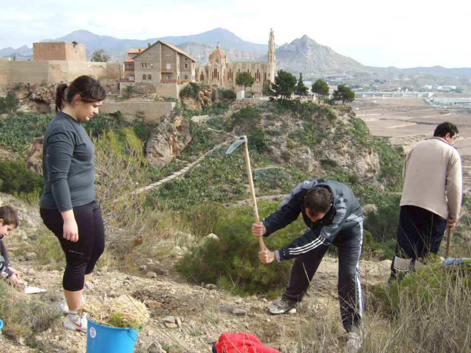 CAMPAÑA ESCOLAR DE REFORESTACIÓN 2009