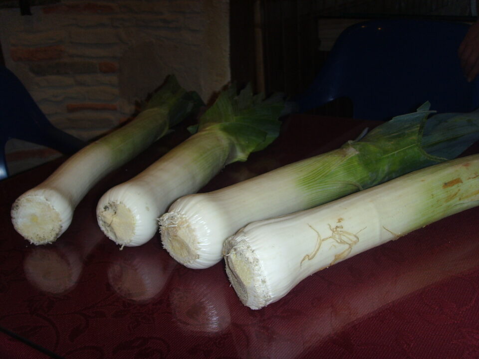 Las tierras de La Laguna cultivan los productos más sensuales del mundo