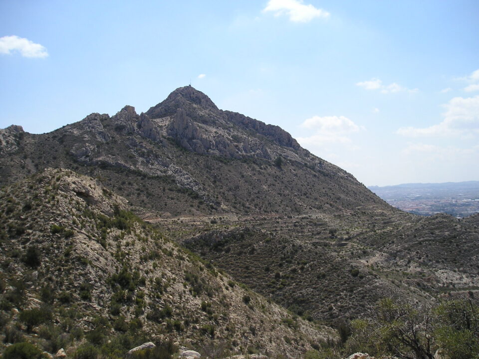 JORNADAS DE CONSERVACIÓN Y REFORESTACIÓN