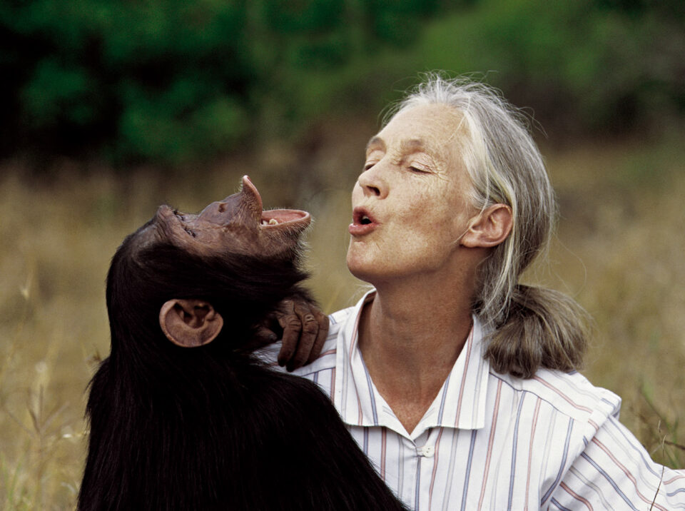 LA PRIMATÓLOGA JANE GOODALL ABOGA POR LA CONSERVACIÓN DE LA BIODIVERSIDAD EN EL AULA CAM DE ALICANTE