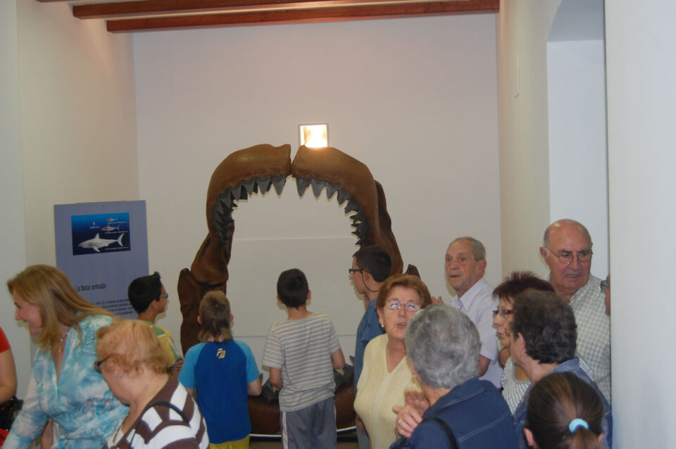 Una muestra de fósiles abre las puertas de la historia monfortina