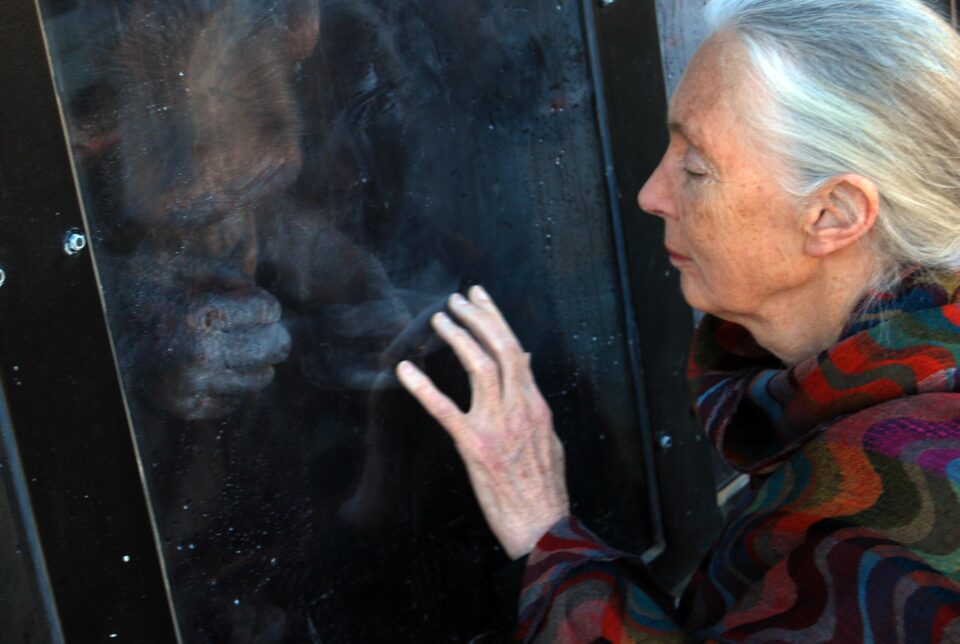 LA INAUGURACIÓN DE PRIMADOMUS Y EL AULA DE LA NATURALEZA MUNICIPAL SE PRESENTAN CON UNA ACOGIDA MULTITUDINARIA