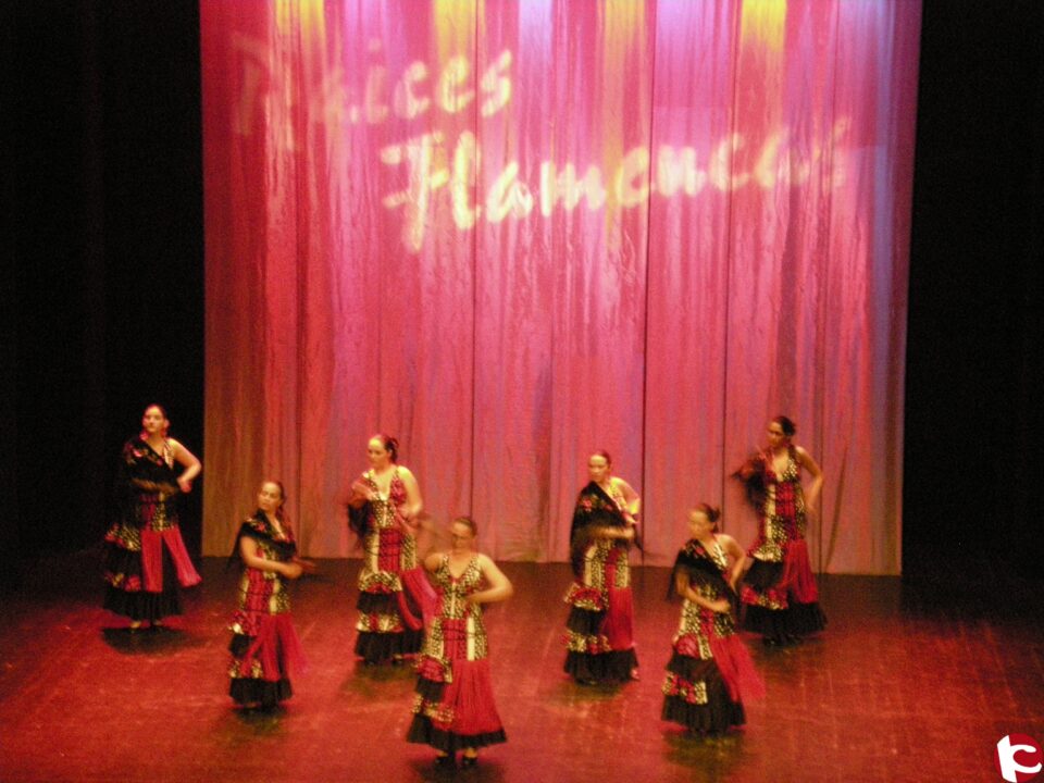 La asociación juvenil Raices Flamencas ha ofrecido el Festival fin de curso en el Teatro Castelar