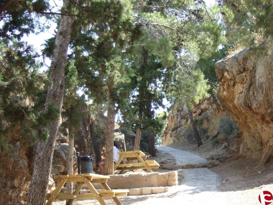 OBRAS DE MEJORA EN LA ZONA DEL MONTE DE LA MOLA. Proyecto Emcorp 2010