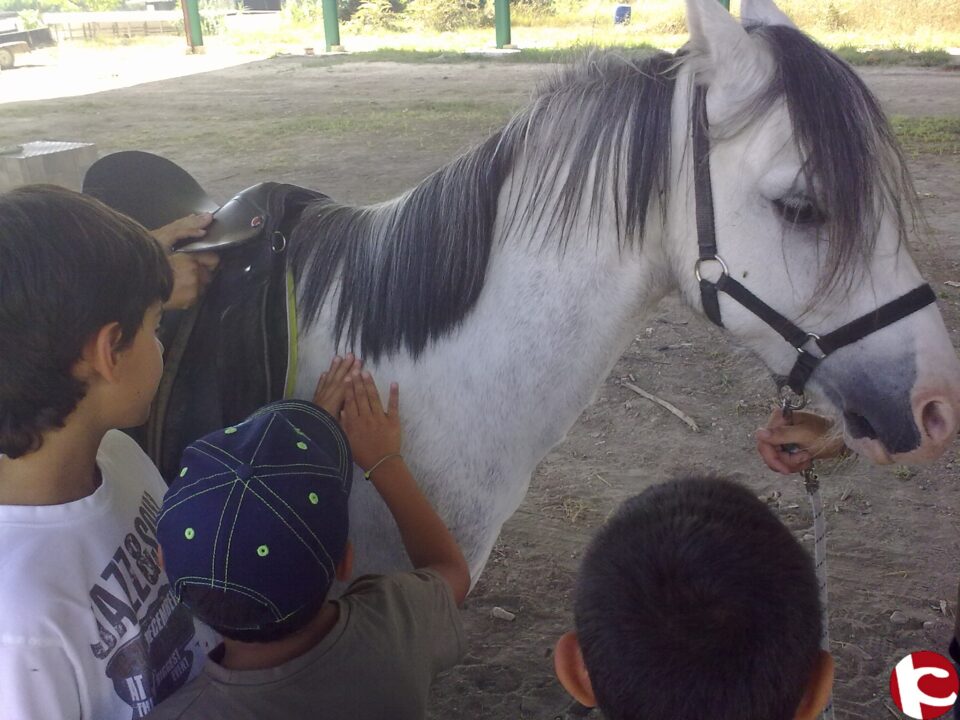 LAS ESCUELAS DE VERANO EDUCATIVAS DE LA ASOCIACIÓN BABILÓN Y LA CONCEJALÍA DE EDUCACIÓN A PUNTO DE FINALIZAR TRAS CUATRO SEMANAS DE INTENSA ACITIVIDAD