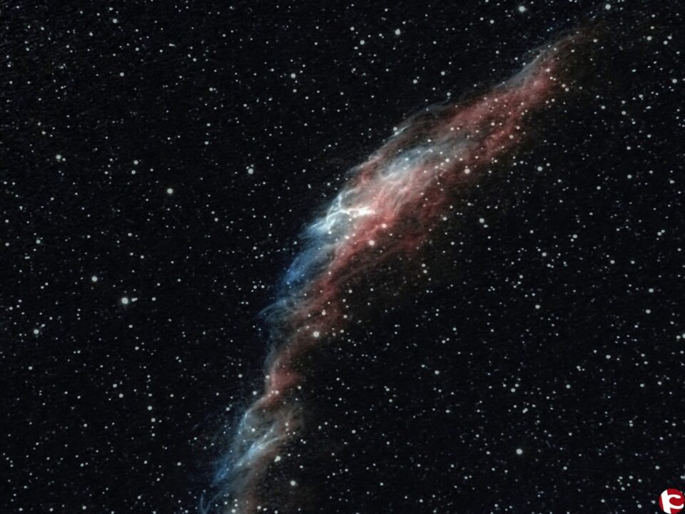 NOCHE DE ESTRELLAS EN ELDA