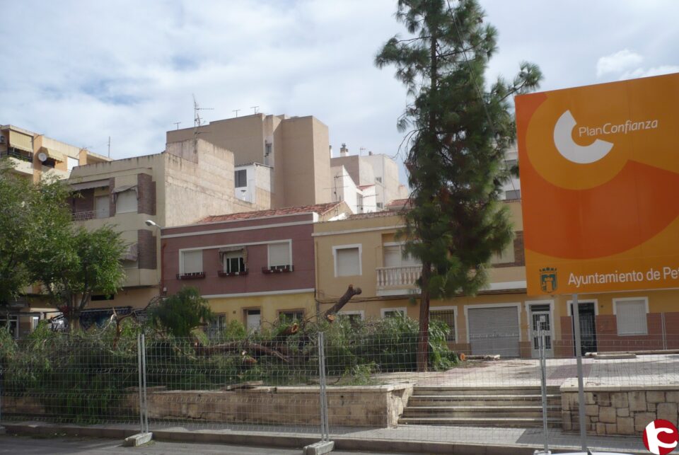 Nota de prensa de Los Verdes: El viernes 1 de octubre se iniciaron las obras de reforma de la plaza S. Crispín de Petrer con la innecesaria tala de árboles.