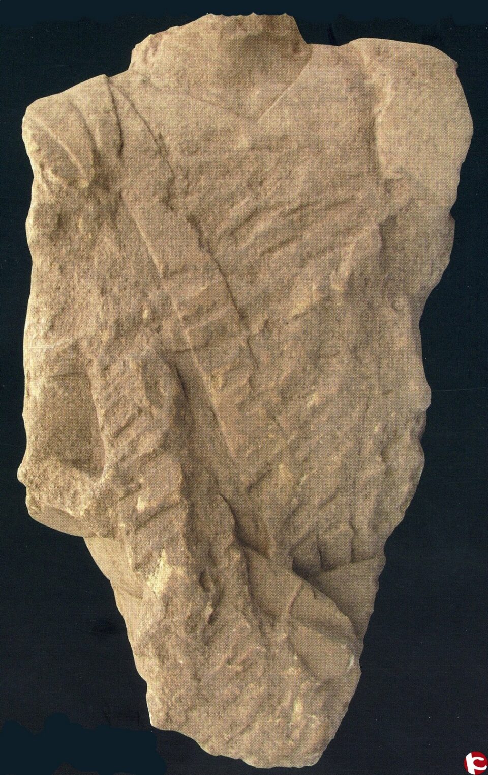 El viernes se expondrá el rehabilitado Torso del Guerrero de Monforte