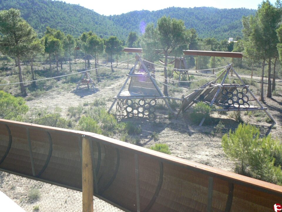 LA FUNDACIÓN AAP CONTRIBUYE EN LA LUCHA CONTRA EL ABANDONO DE PRIMATES RESCATANDO A DOS MACACOS DE CEUTA