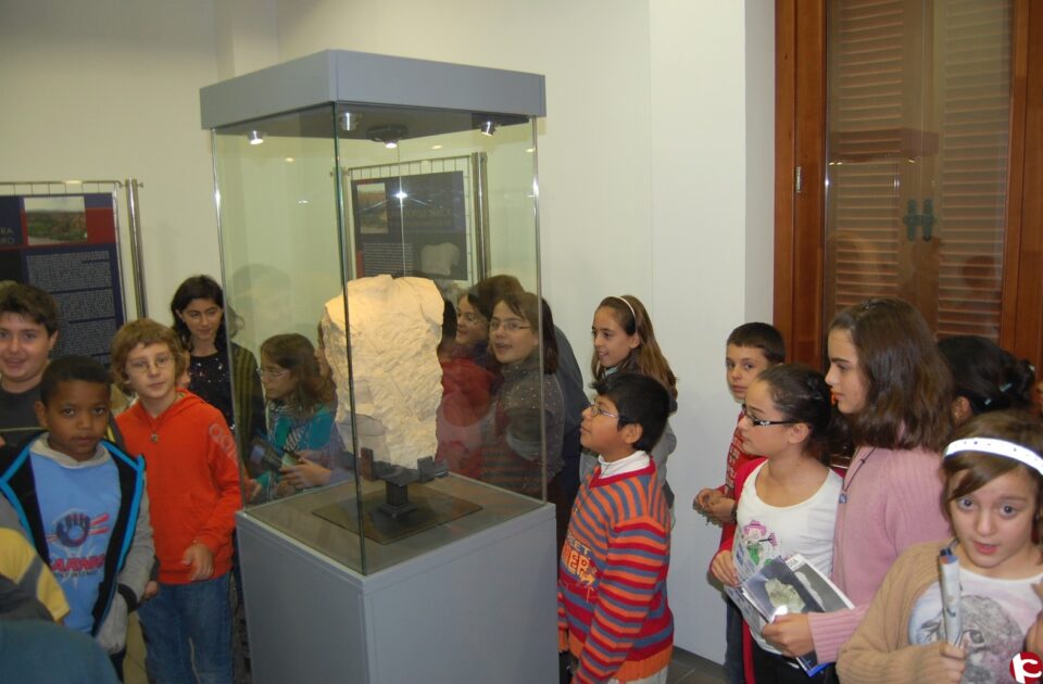 Cerca de un centenar de alumnos del C.P Jorge Juan de Monforte del Cid han acudido al