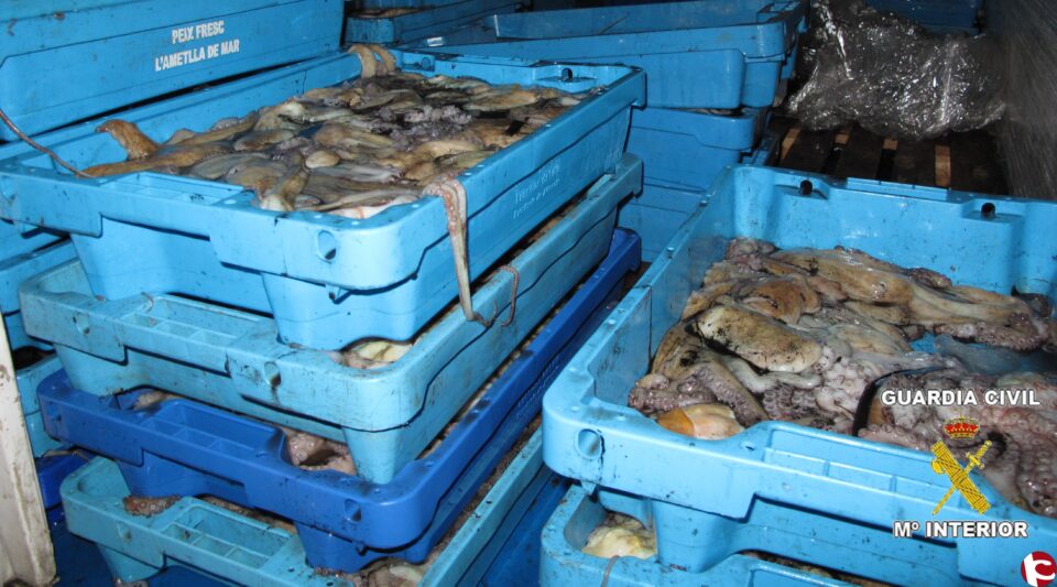 La Guardia Civil intervino pescado que no cumplía la normativa europea para su puesta en el mercado
