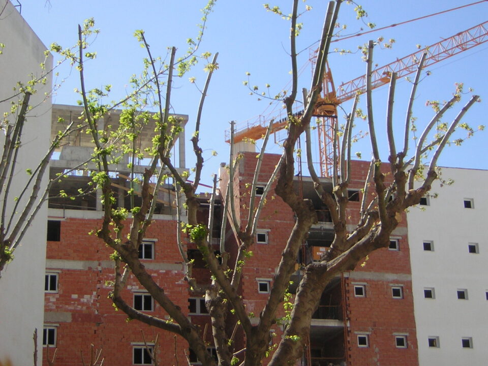 Semana Cultural del Barrios El Carril con Tala y Tacón