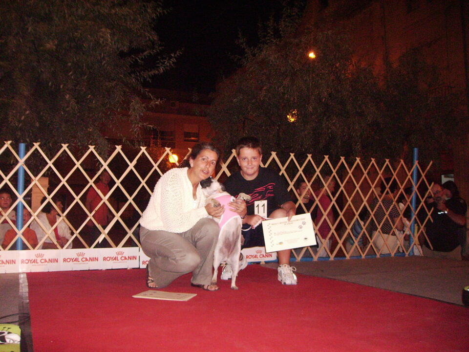 Pasarela para nuestros perros