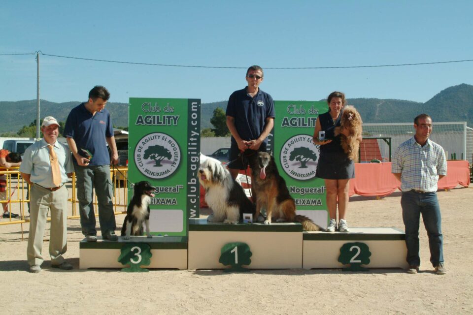 Un bonito fin de semana de Agility