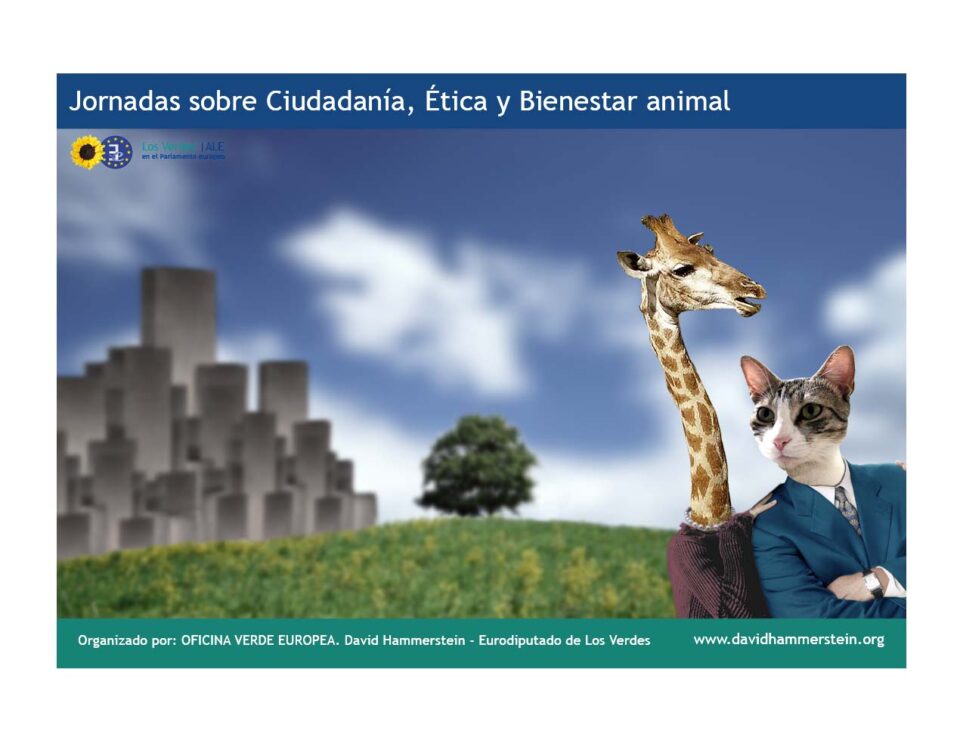 Las protectoras de animales reclaman una ley más rigurosa contra el abandono y el maltrato