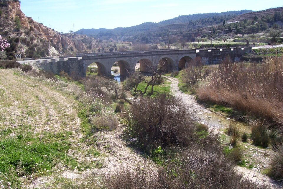 SE ACTUARÁ EN LA LIMPIEZA DEL PANTANO MÁS IMPORTANTE DE EUROPA