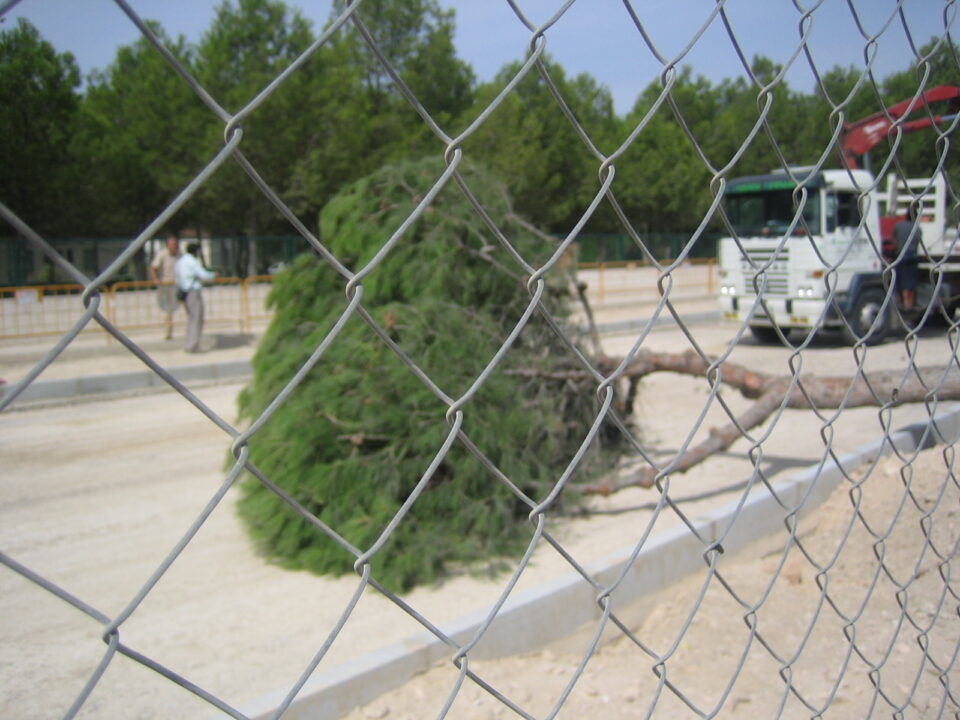 DECLARACIONES DEL EDIL DE MEDIO AMBIENTE SOBRE LA DENUNCIA DEL DIRECTOR DEL COLEGIO "LA ENCARNACIÓN"