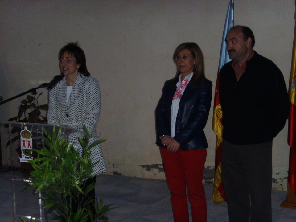 LA VICE-PRESIDENTA DE LA DIPUTACIÓN