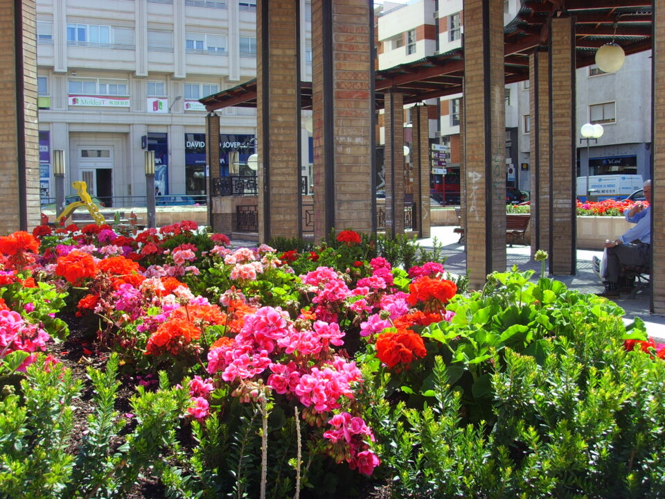 OPINIÓN DE LOS CIUDADANOS SOBRE PARQUES Y JARDINES