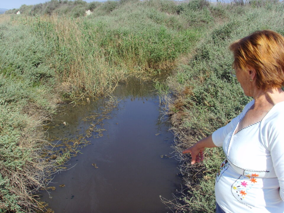 VECINOS DE LA COLONIA NO SOPORTAN LAS OLORES DE LA ACEQUIA DEL REY Y ALERTAN QUE ES MALA PARA LA SALUD