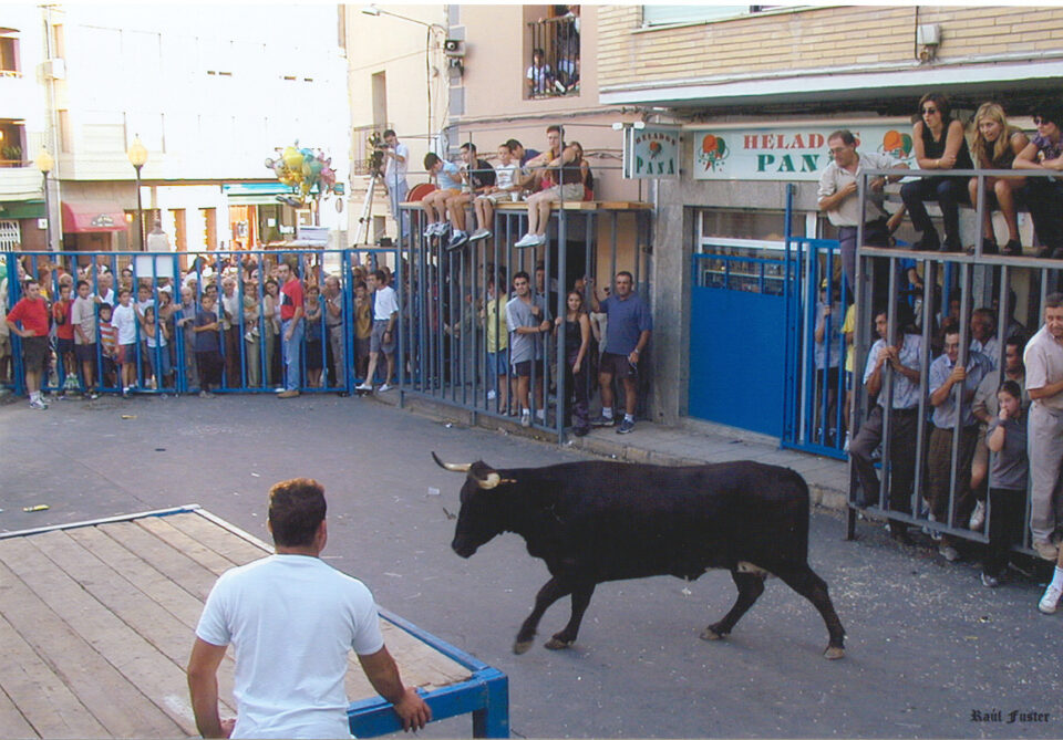 TRADICIONALES SUELTA DE VAQUILLAS