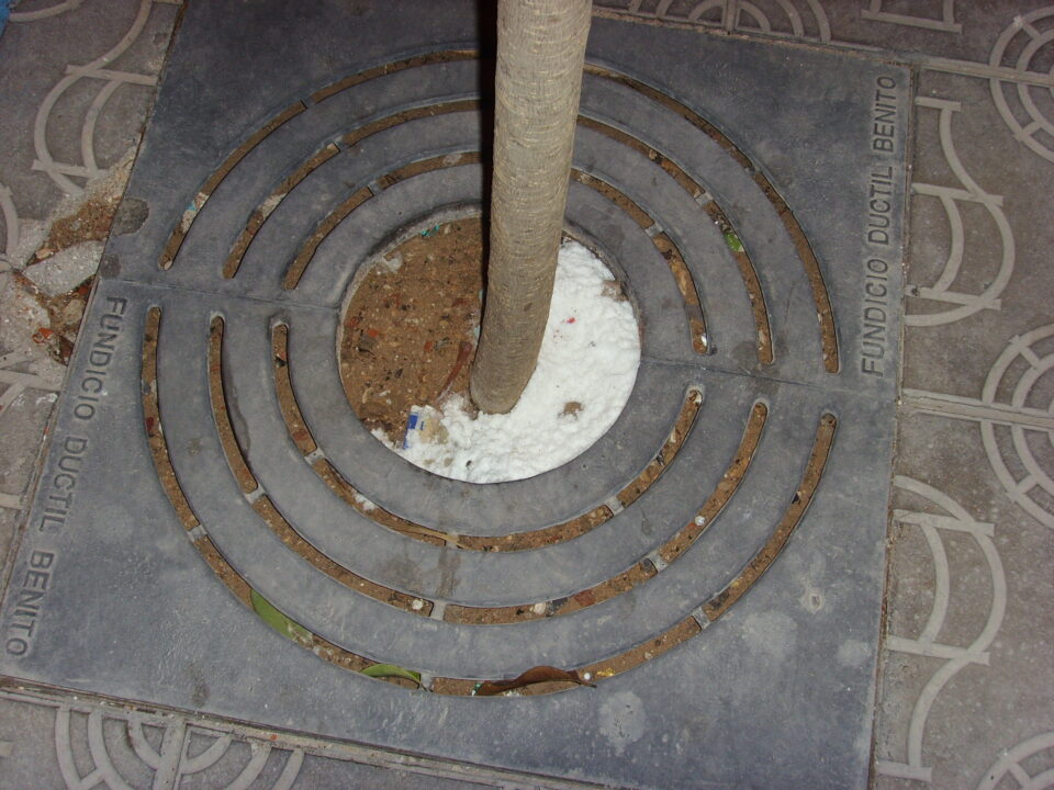 APARECEN RODEADOS DE SAL VARIOS ÁRBOLES QUE ESTÁ CAMBIANDO LA CONCEJALÍA DE CALIDAD AMBIENTAL