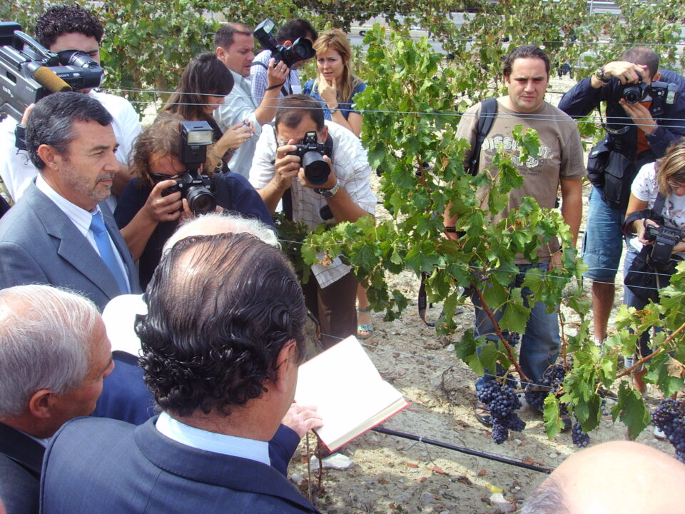 El sector vitivinícola firma un documento de posicionamiento común ante la propuesta de reforma de la OCM del vino. Abierta la vendimia 2007